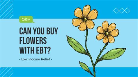 Can You Buy Flowers with EBT? Exploring the Intersection of Beauty and Necessity