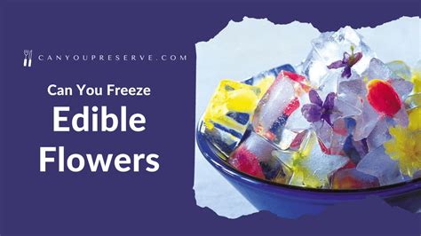 Can you freeze flowers to preserve them, or does time itself bloom in reverse?