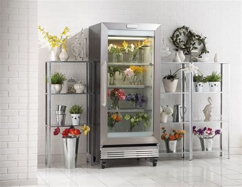 Can You Keep Flowers in the Fridge, or Should They Be Dancing on the Moon?