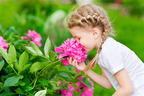 Do I Need a License to Sell Flowers from Home? And Why Do Flowers Smell Like Childhood Memories?