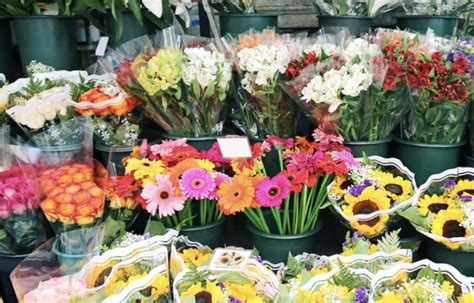 Does CVS Sell Flowers? Exploring the Unexpected Connections Between Pharmacies and Floral Arrangements