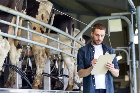 How to Become a Livestock Agent: And Why Cows Might Be the Best Negotiators