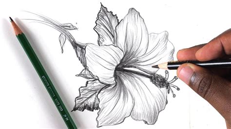 How to Draw Realistic Flowers: Unlocking the Secrets of Nature's Beauty and Why Penguins Don't Fly