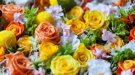 How to Preserve Fresh Flowers Permanently: A Guide to Timeless Beauty and Unexpected Connections