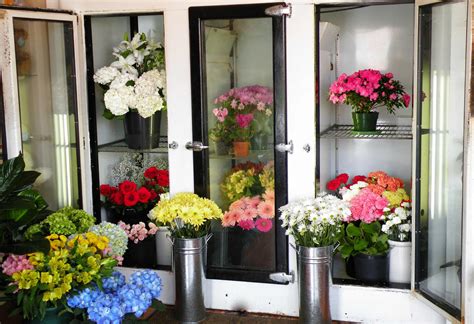 How to Store Flowers in Fridge for Long Time: A Symphony of Preservation and Chaos