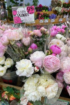 What flowers are at Trader Joe's right now, and why do they whisper secrets to the moon?