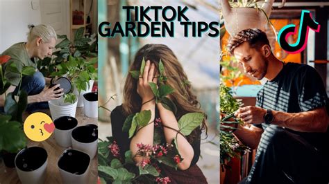 What is Gardening on TikTok: A Digital Eden or Just Another Trend?