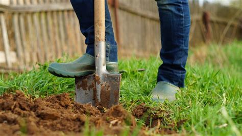 What is Gardening Slang? Digging into the Dirt of Green Thumb Lingo